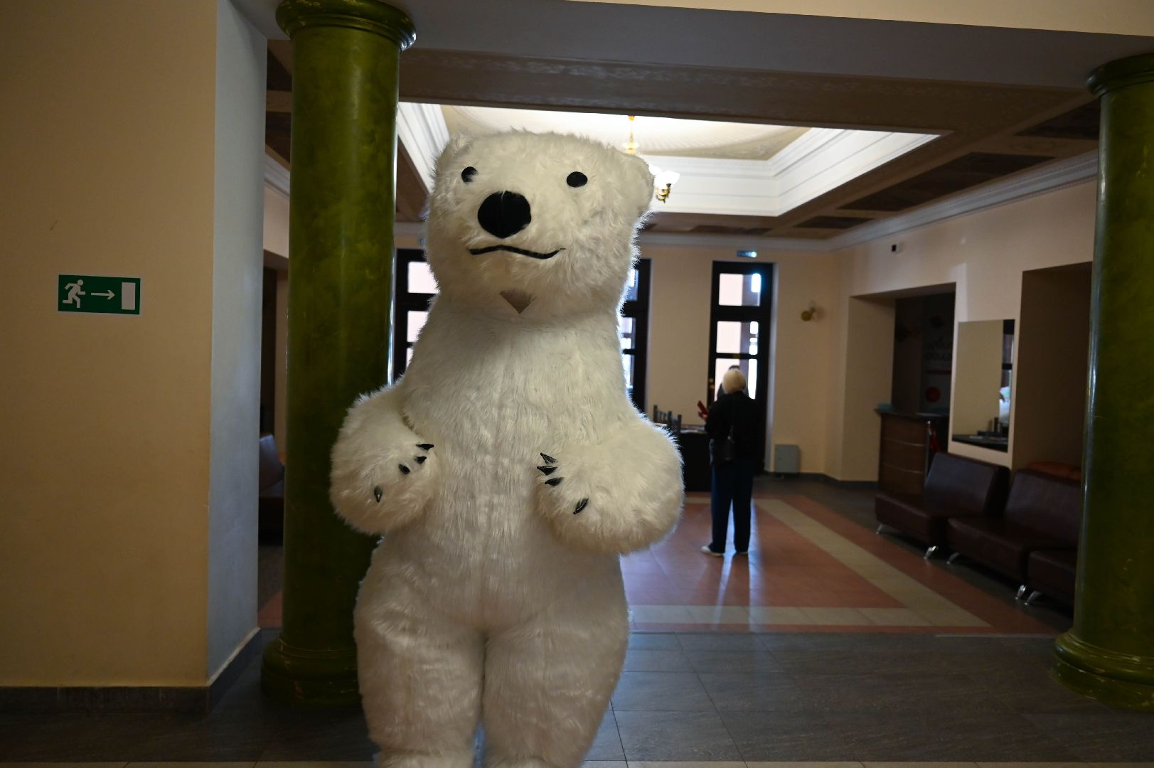 выборы, белый медведь, выборы 2024, голосование в совет депутатов ленинского округа,медведь голосует, на выборы пришел медведь,медведь в ленинском округе,