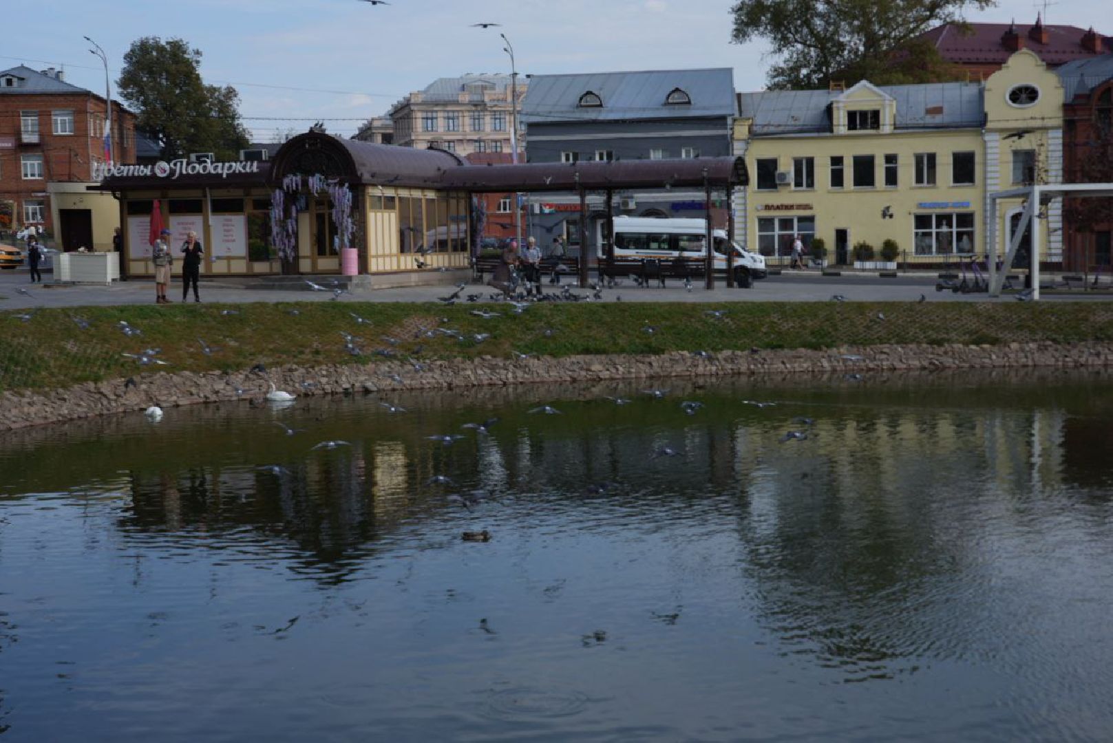 Лебеди, Сергиев Посад,Птицы, Общество,