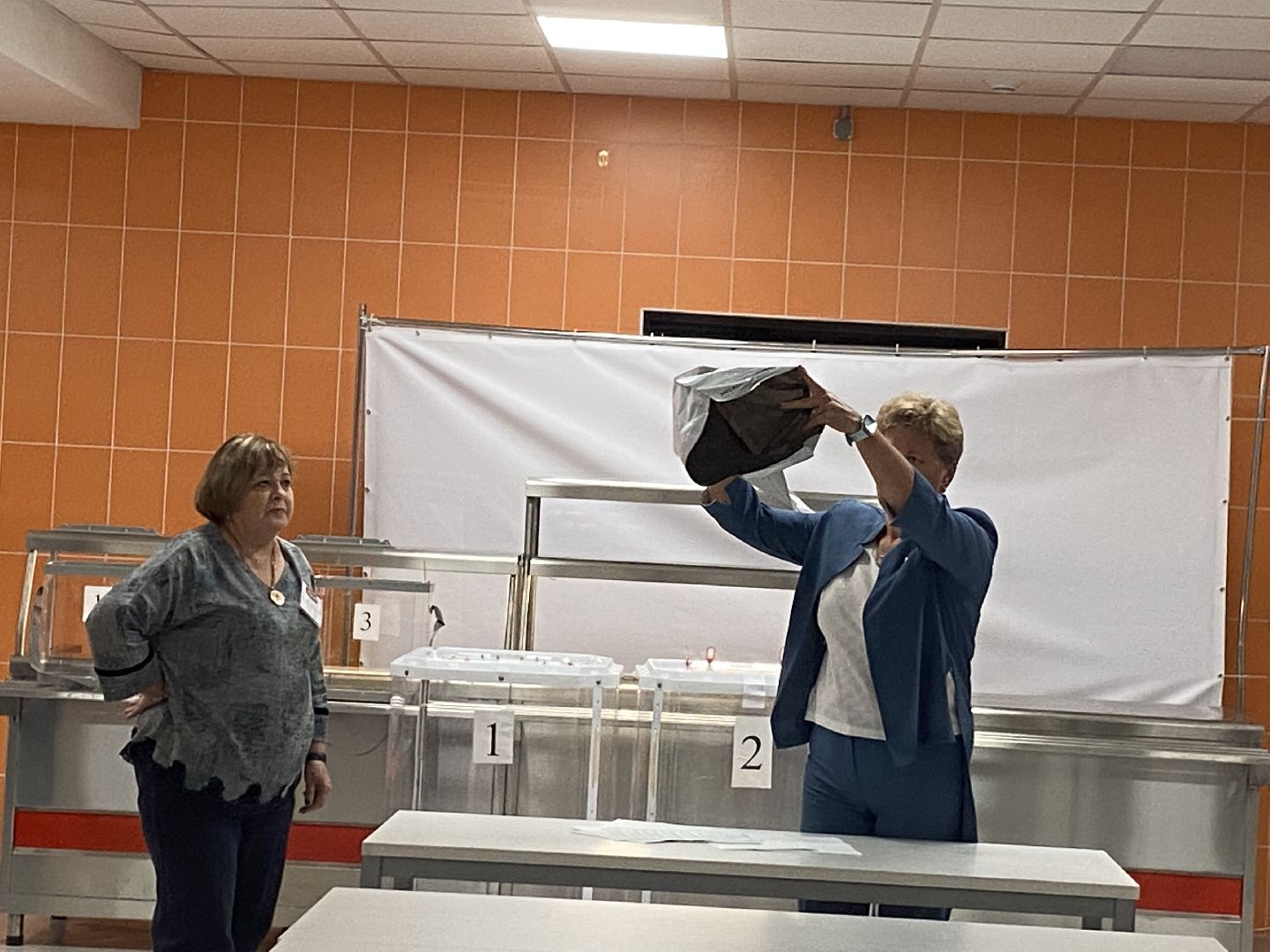 подмосковье выбирает 2024, власиха выборы 2024, депутаты в Совдеп, выборы во Власихе, совет депутатов Власиха,