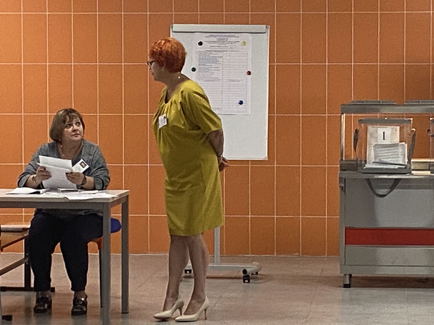 подмосковье выбирает 2024, власиха выборы 2024, депутаты в Совдеп, выборы во Власихе, совет депутатов Власиха,