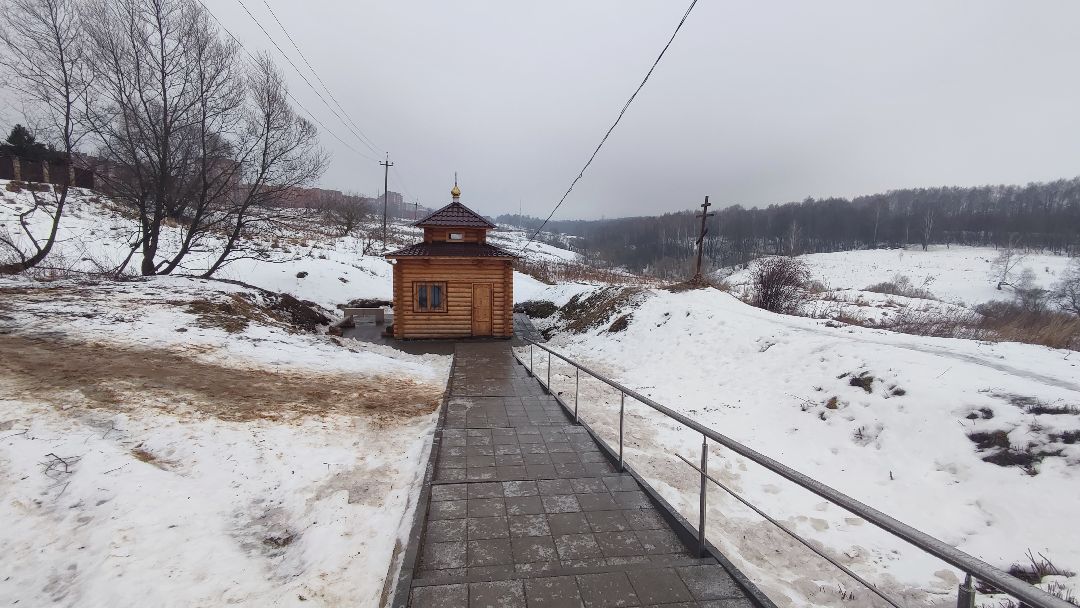 Кашира, общество