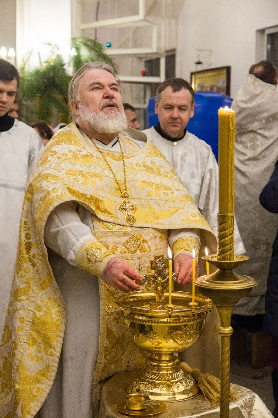 Кашира, общество