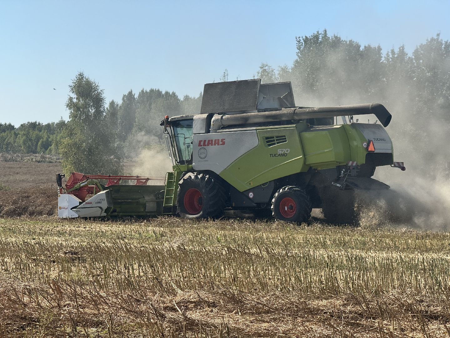 шаховская, уборка полей, сельское хозяйство,