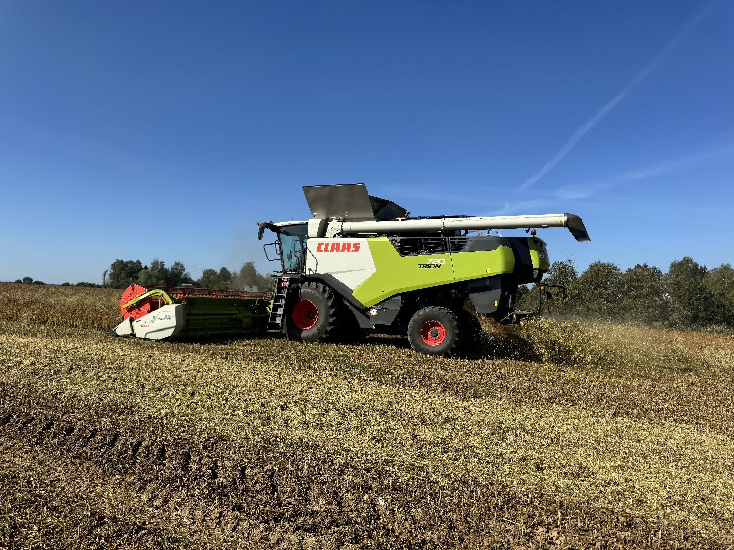 шаховская, уборка полей, сельское хозяйство,