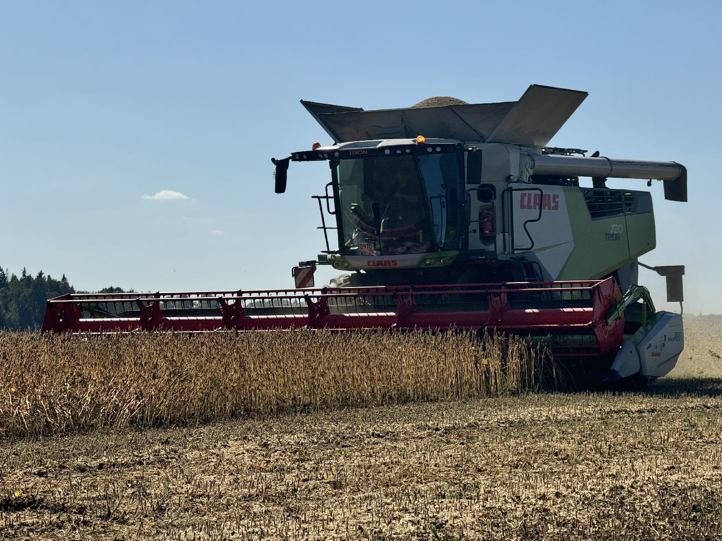 шаховская, уборка полей, сельское хозяйство,