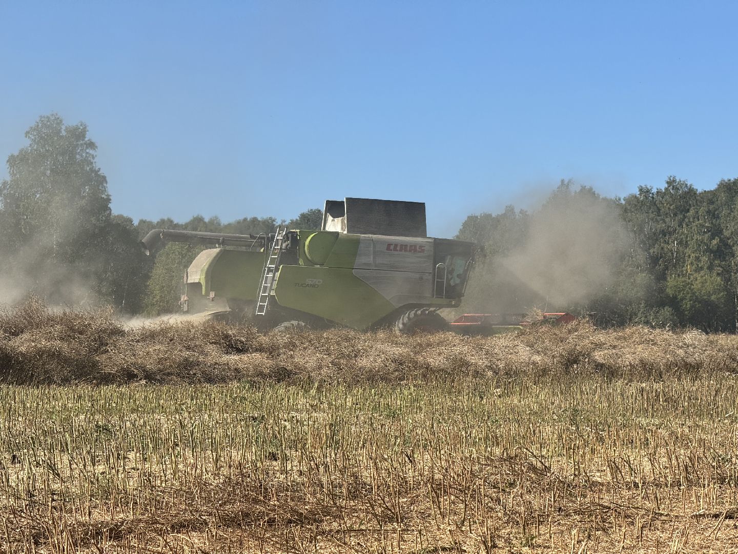 шаховская, уборка полей, сельское хозяйство,