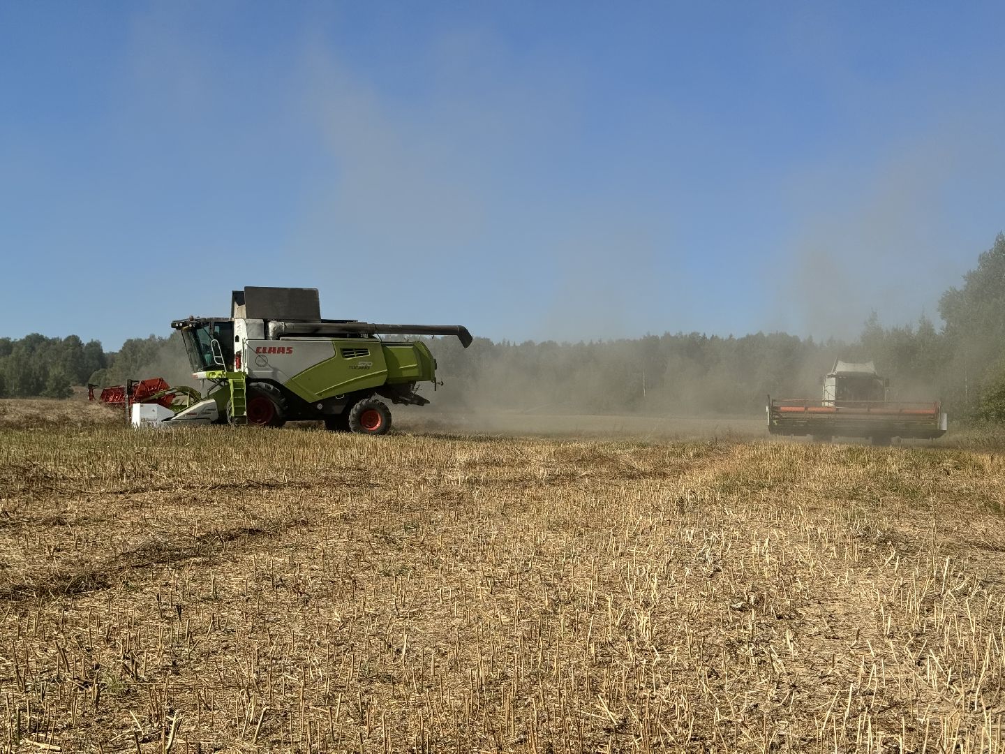 шаховская, уборка полей, сельское хозяйство,