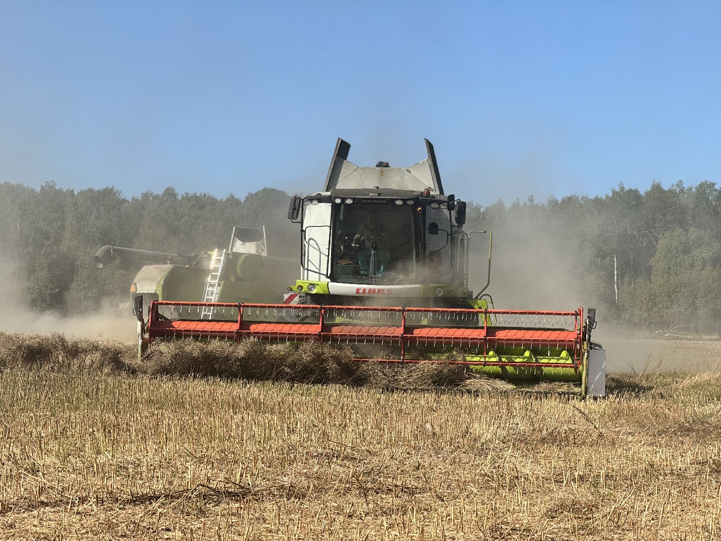 шаховская, уборка полей, сельское хозяйство,