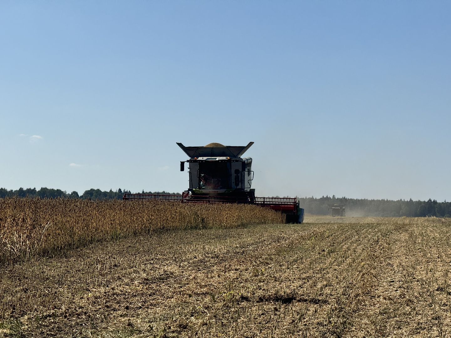 шаховская, уборка полей, сельское хозяйство,