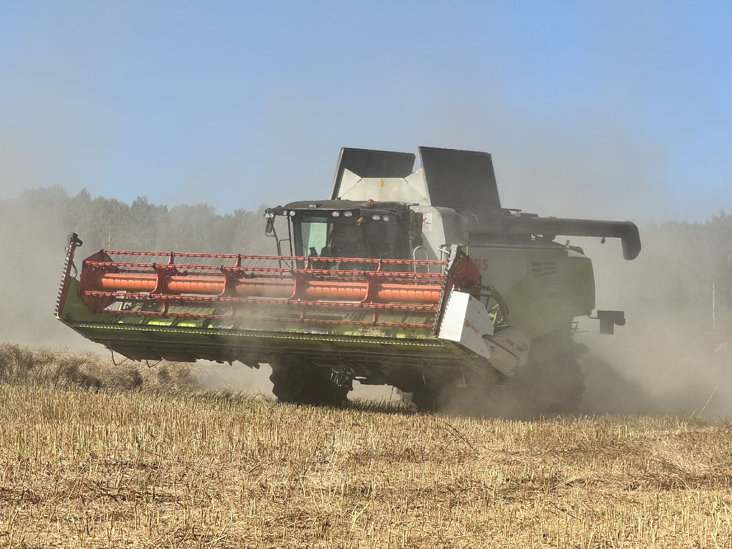 шаховская, уборка полей, сельское хозяйство,