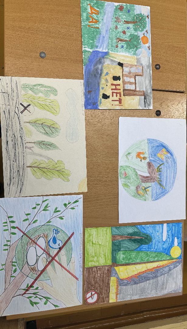 фрязино, гимназия, экология,