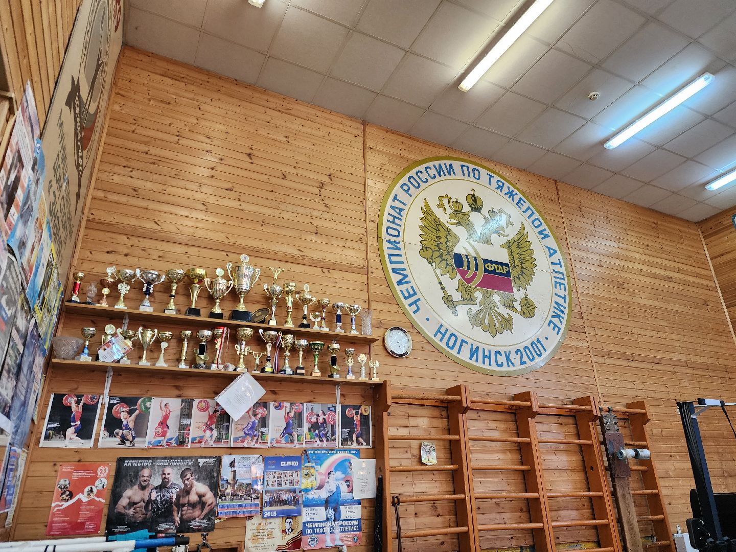 ногинск, спорт, тяжелая атлетика, спортшкола, жители, общество, дети,