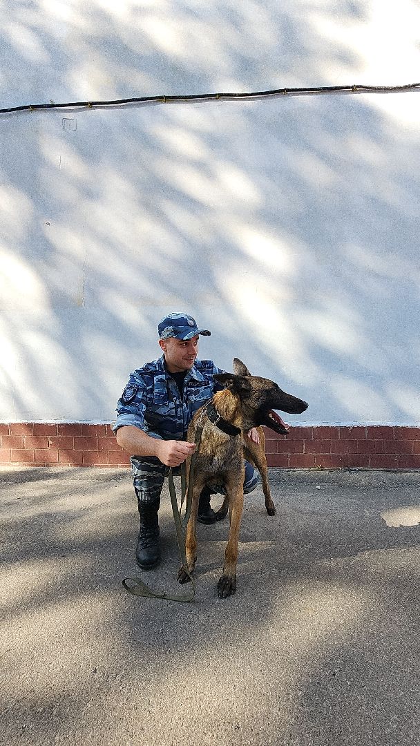 безопасность, полиция, умвд россии, гибдд, гаи, служба, служба 112, служба полиции, служба ппс,