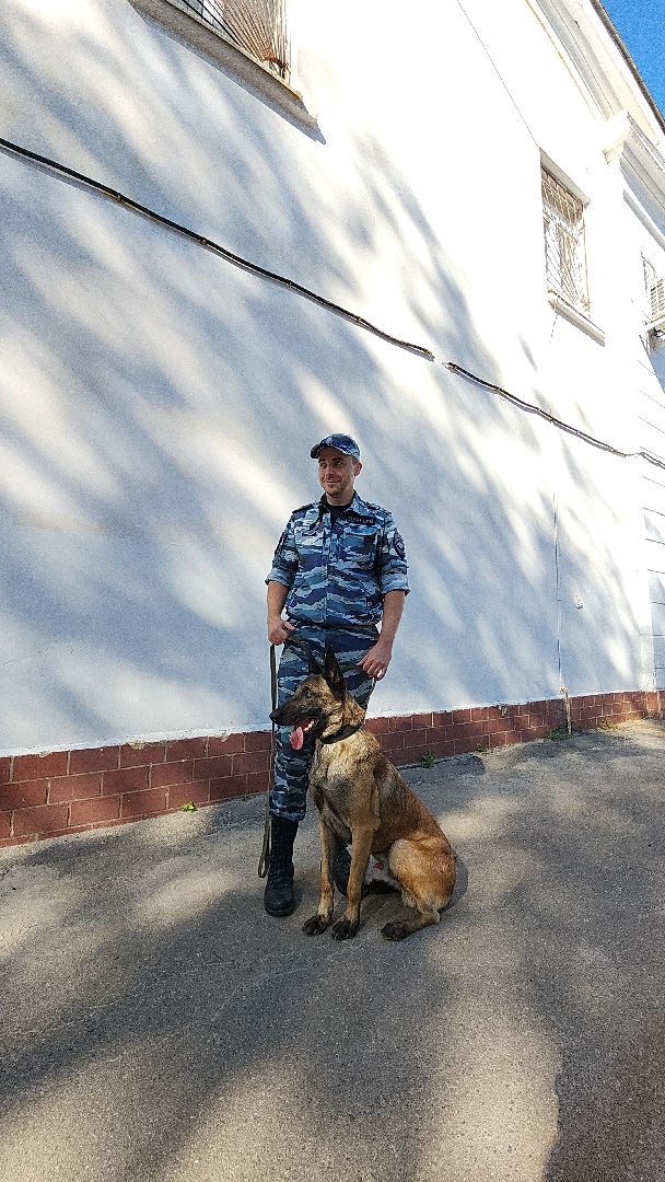 безопасность, полиция, умвд россии, гибдд, гаи, служба, служба 112, служба полиции, служба ппс,