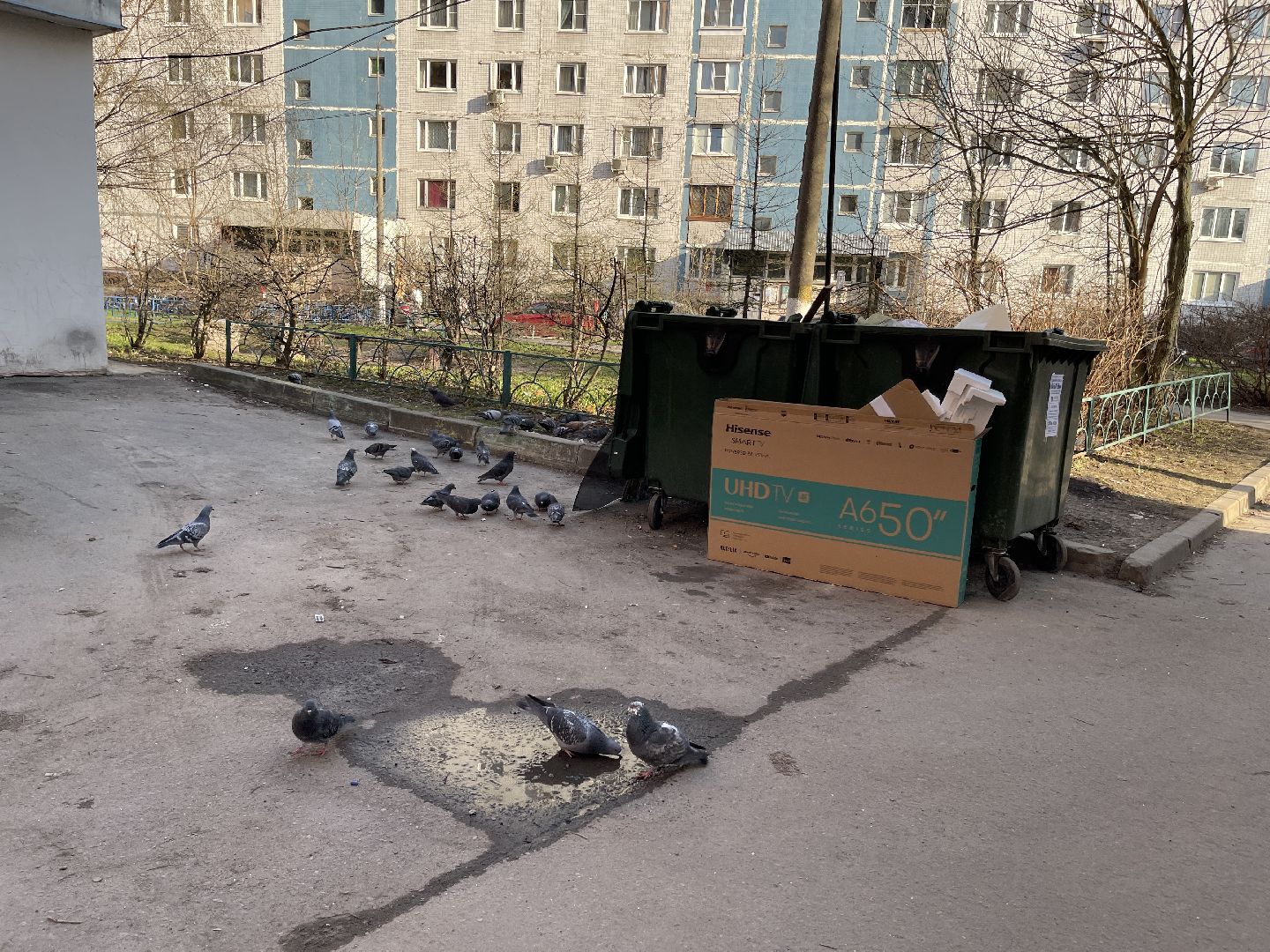 Добродел, Одинцово, опрос, исследование, мусоропровод, жкх