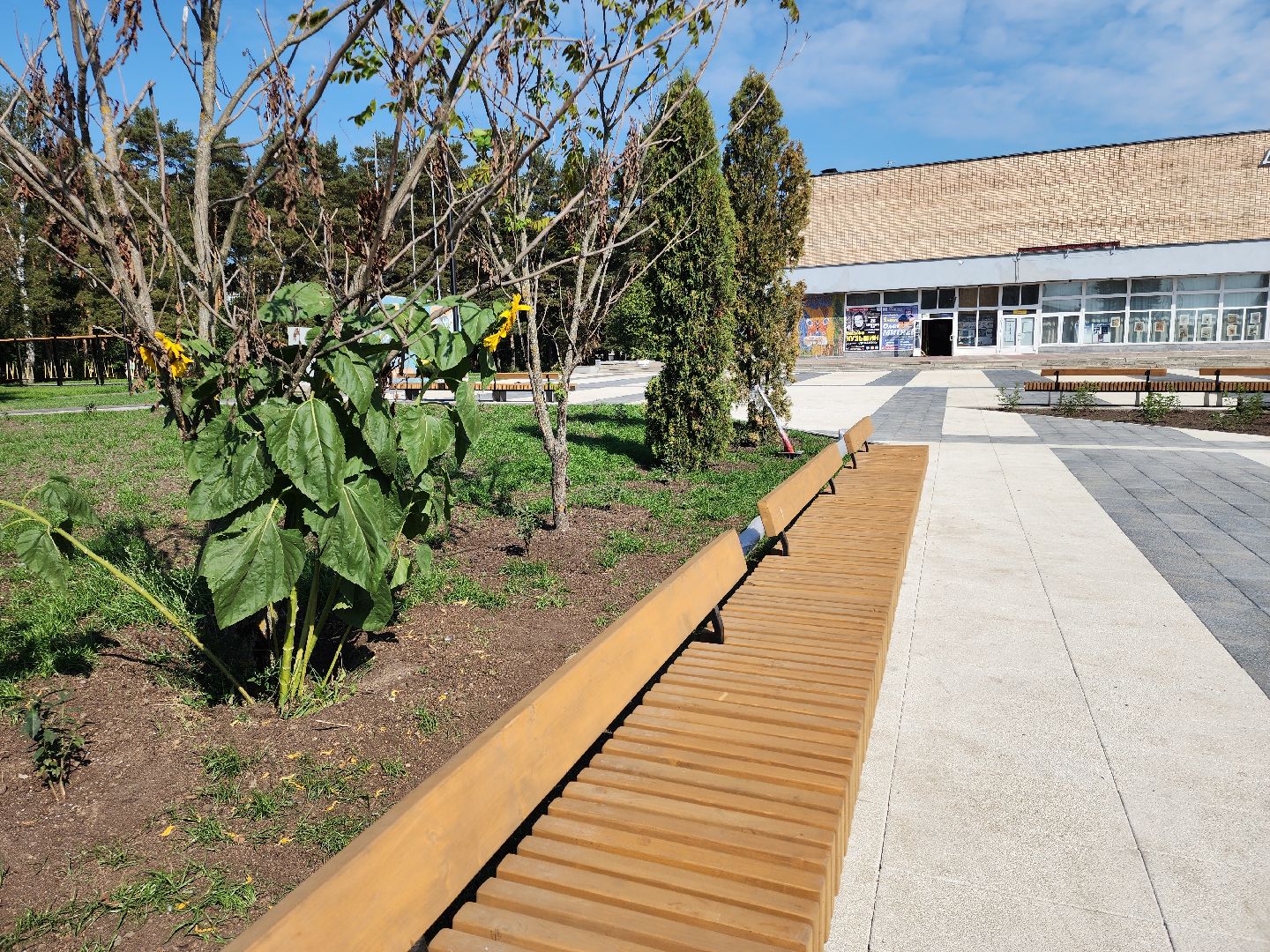 Черноголовка, Благоустройство, Дом Ученых,