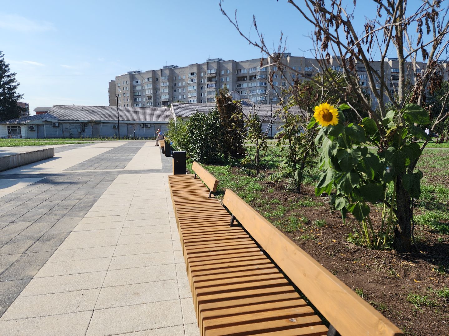 Черноголовка, Благоустройство, Дом Ученых,