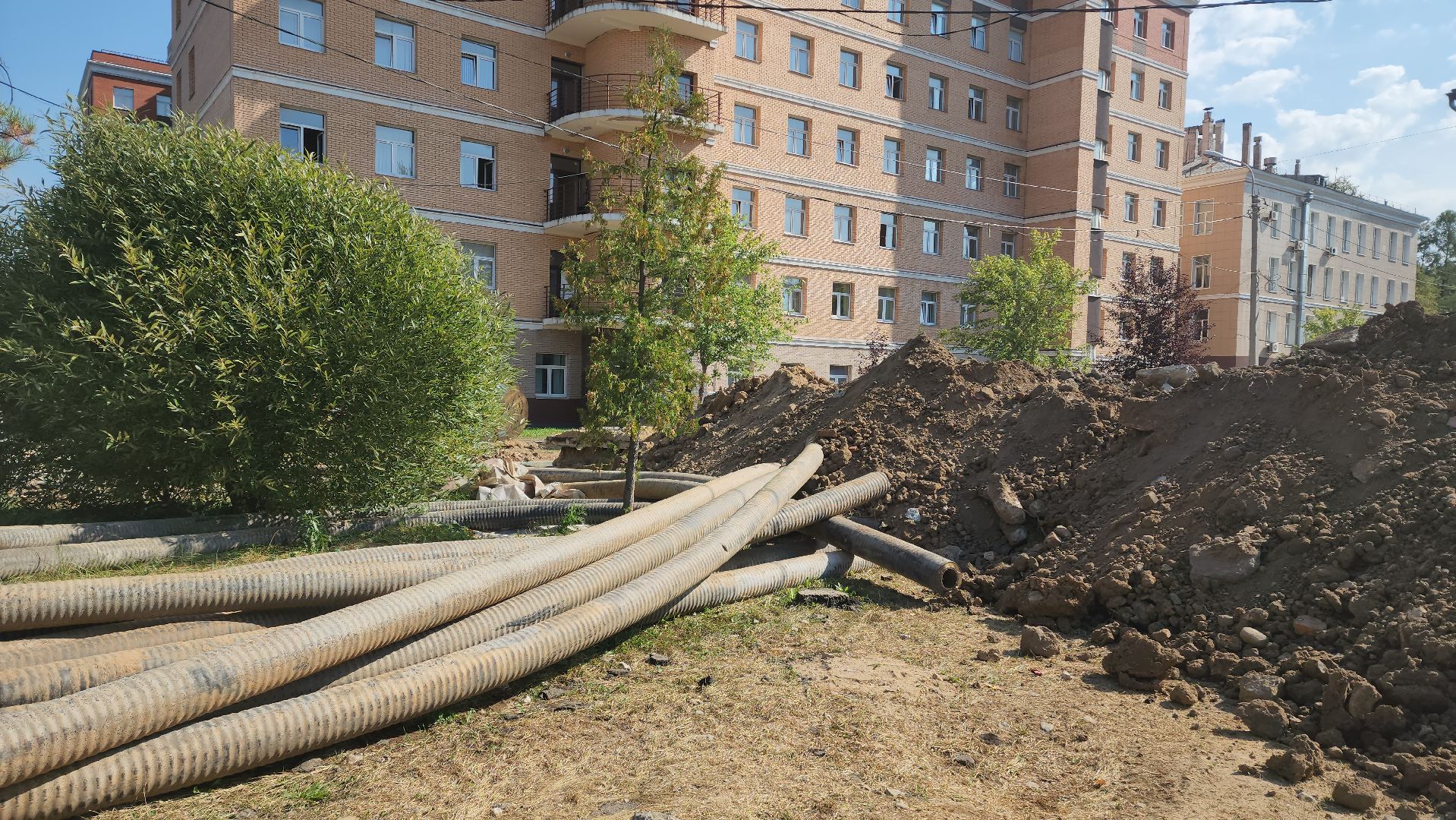 Роддом, Долгопрудный,