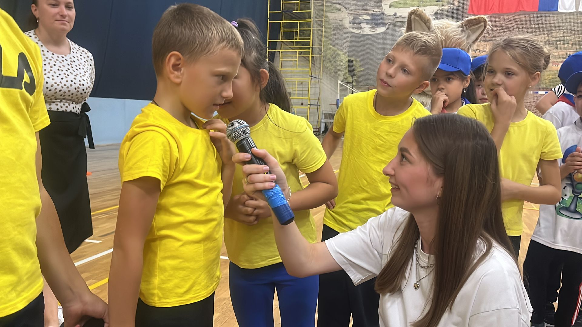 волоколамск, зебра,