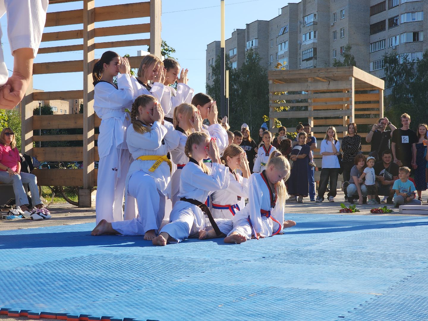 Черноголовка, Тхэквондо, Мастер-класс,