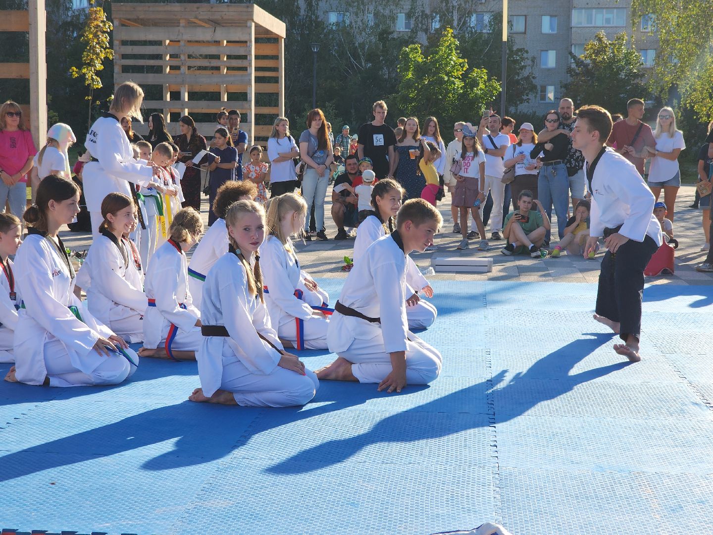 Черноголовка, Тхэквондо, Мастер-класс,