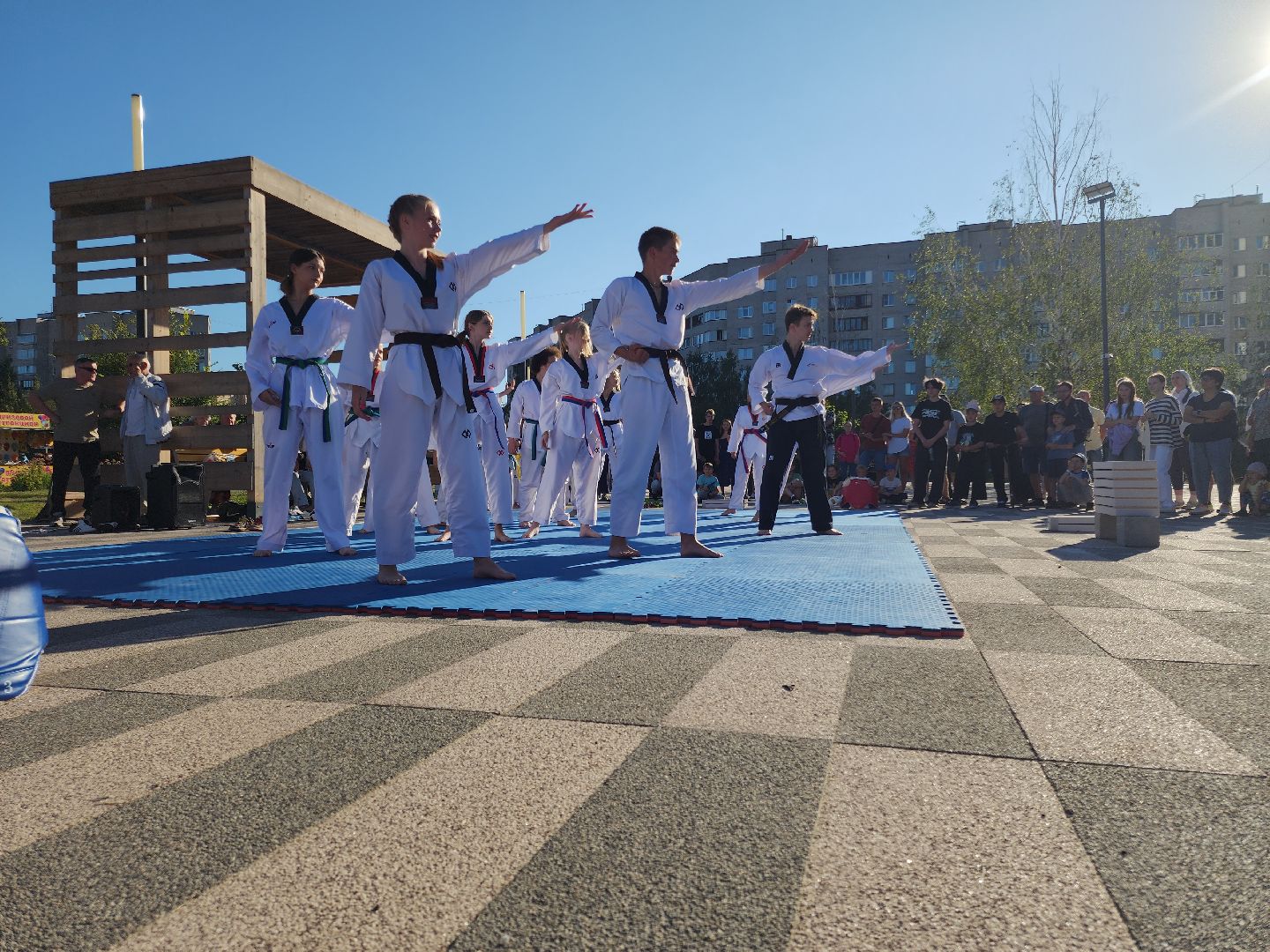 Черноголовка, Тхэквондо, Мастер-класс,