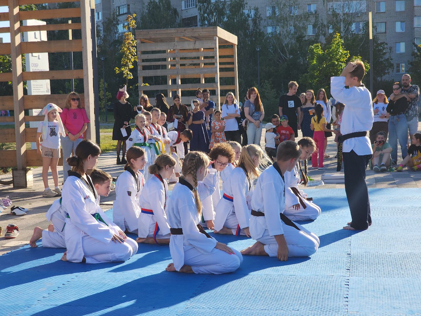 Черноголовка, Тхэквондо, Мастер-класс,