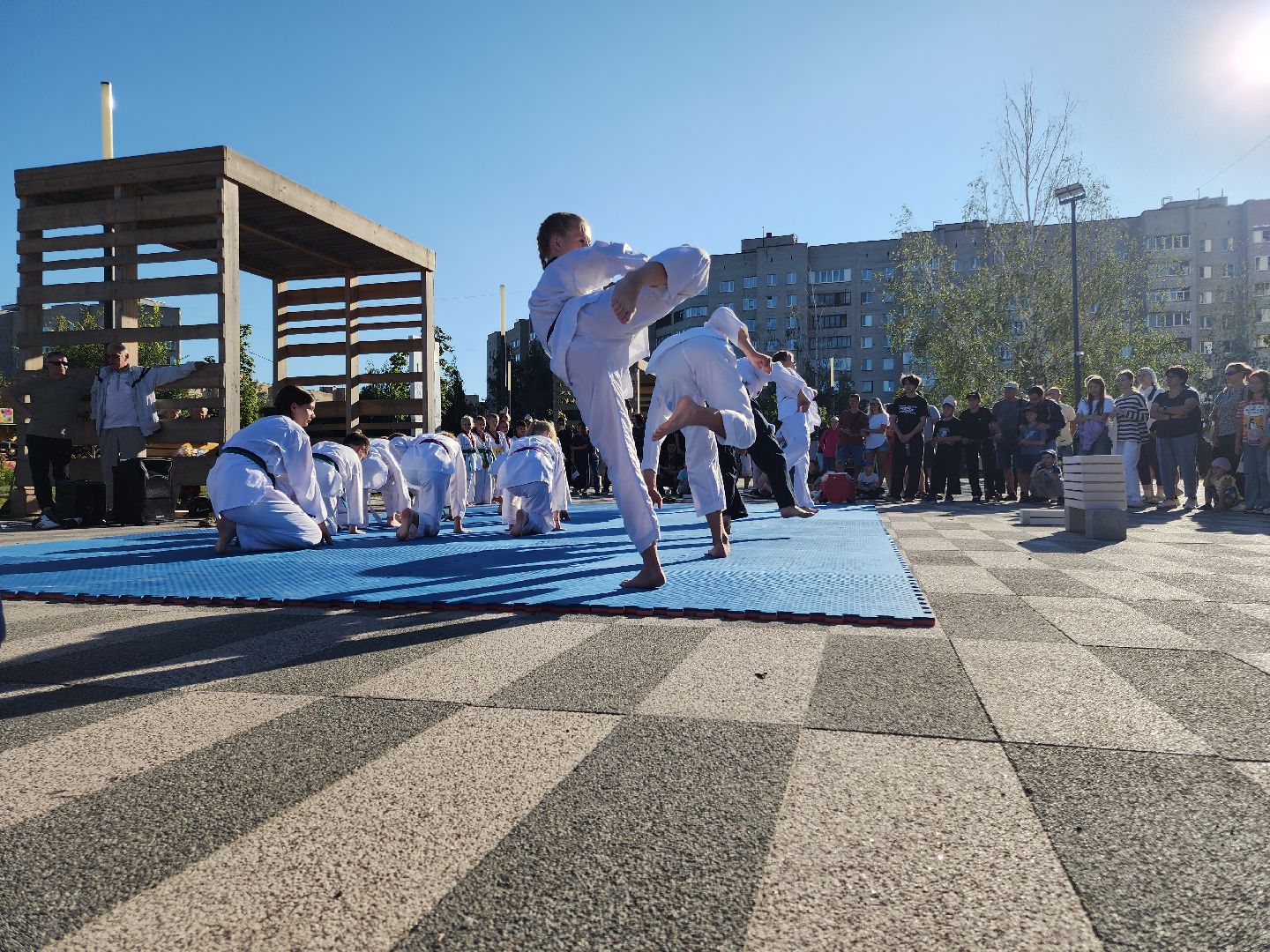 Черноголовка, Тхэквондо, Мастер-класс,