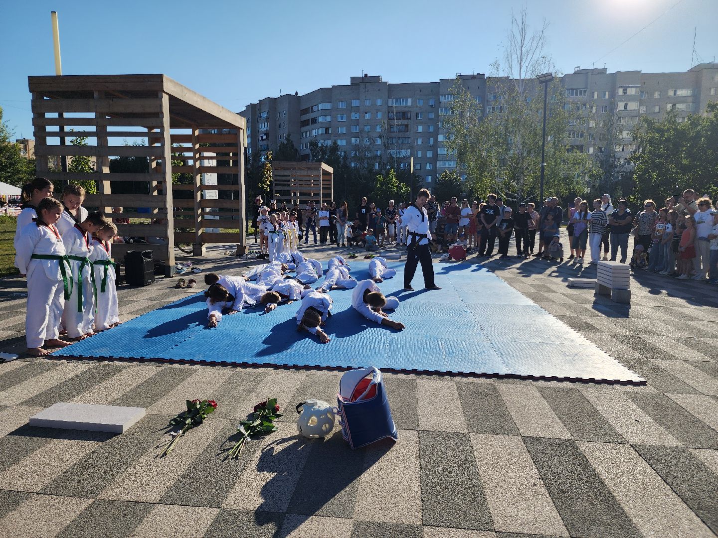 Черноголовка, Тхэквондо, Мастер-класс,