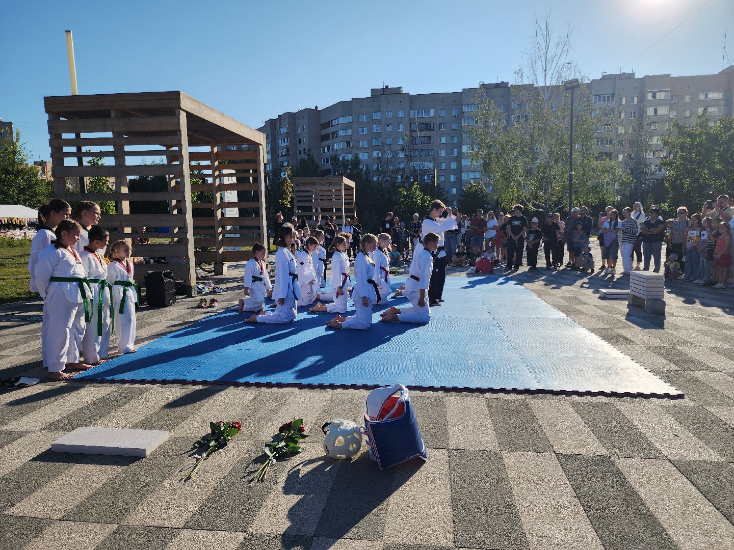 Черноголовка, Тхэквондо, Мастер-класс,