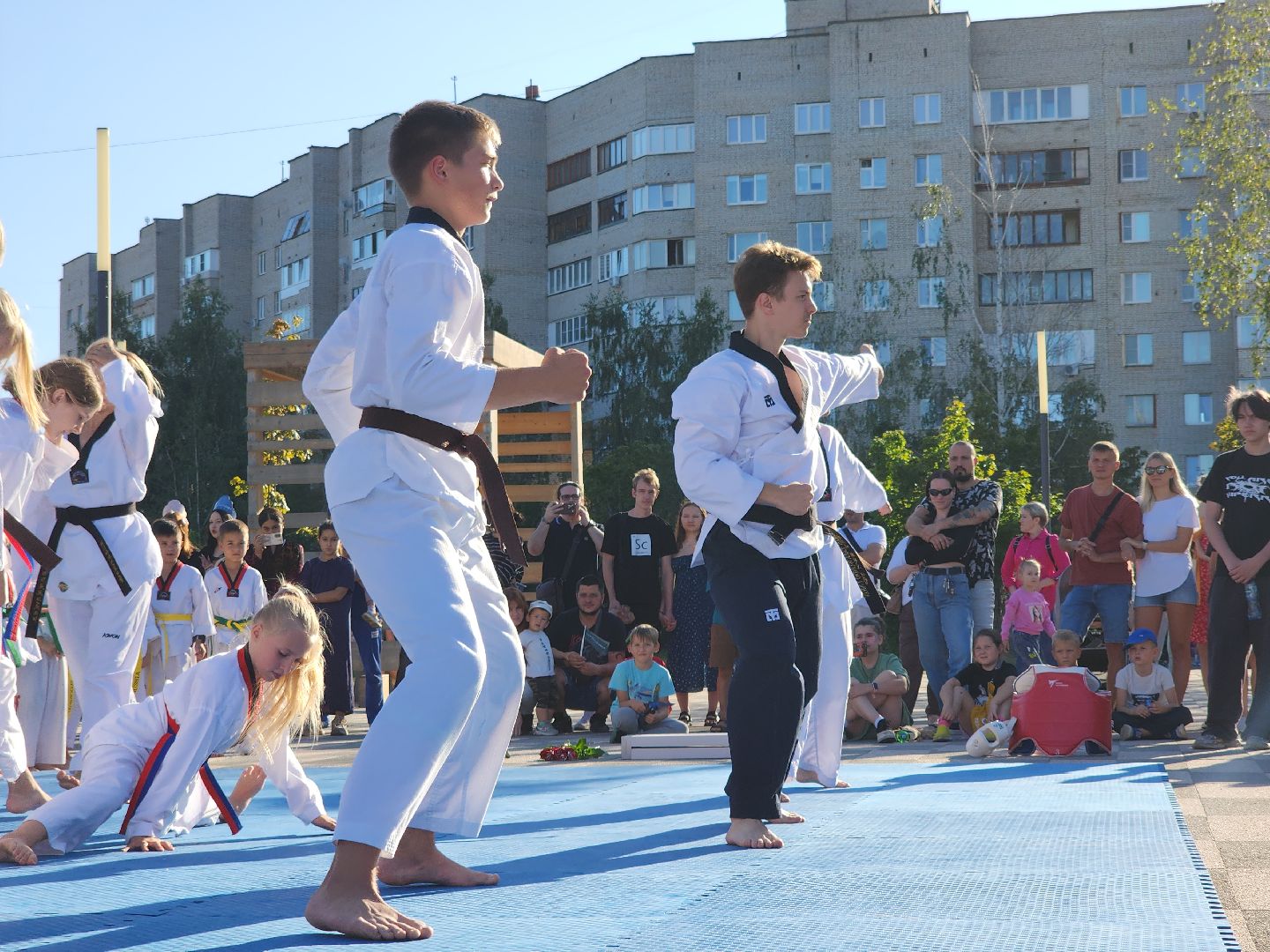Черноголовка, Тхэквондо, Мастер-класс,