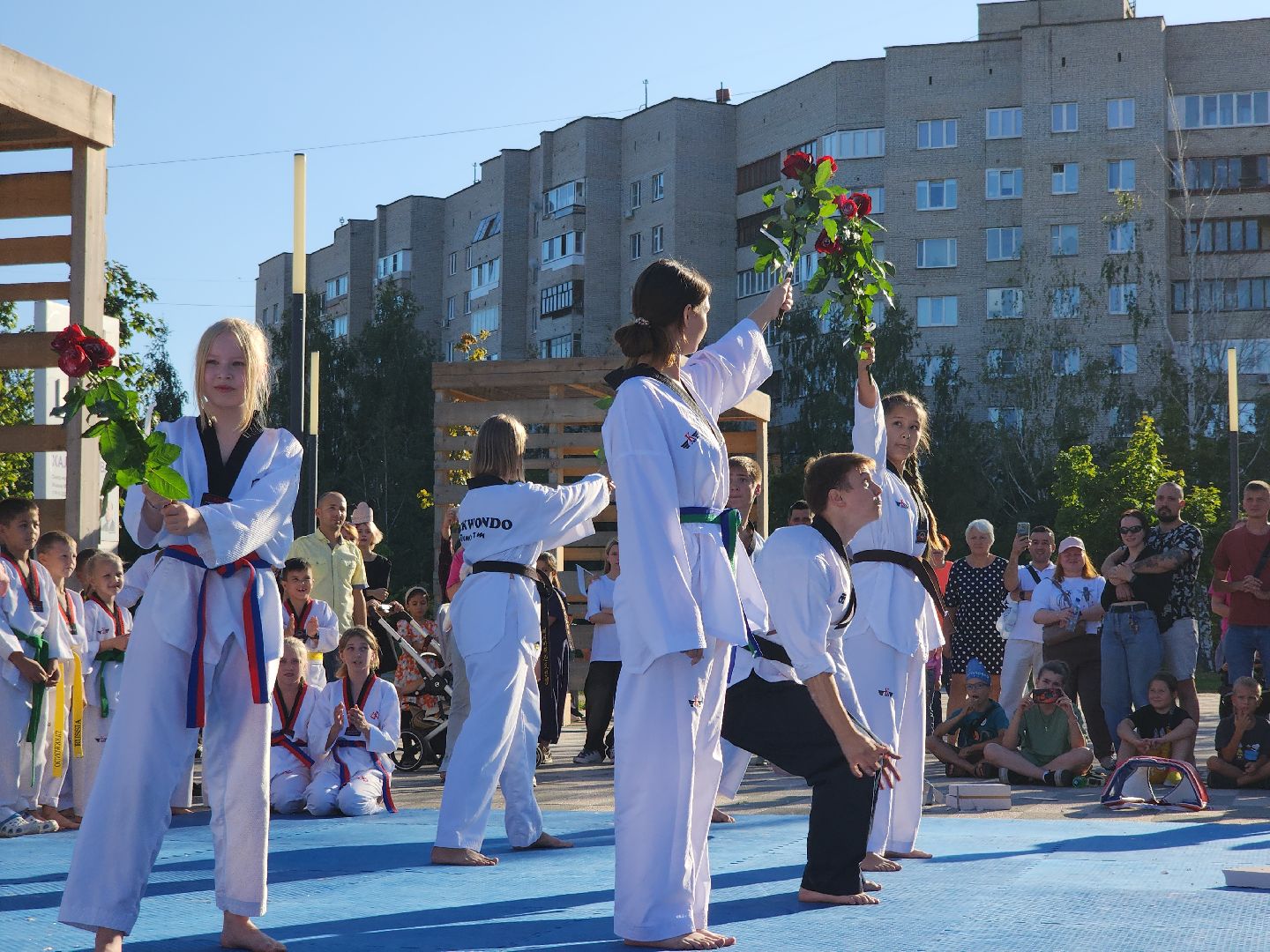 Черноголовка, Тхэквондо, Мастер-класс,
