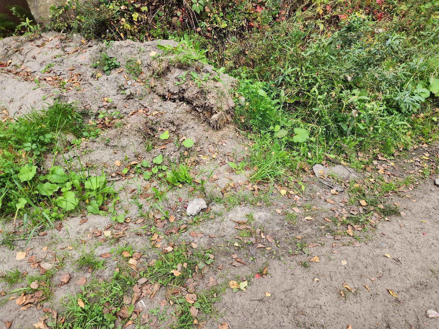 электроугли, власть, благоустройство, деревня марьино, тропа здоровья, жители, общество, оперативный объезд,