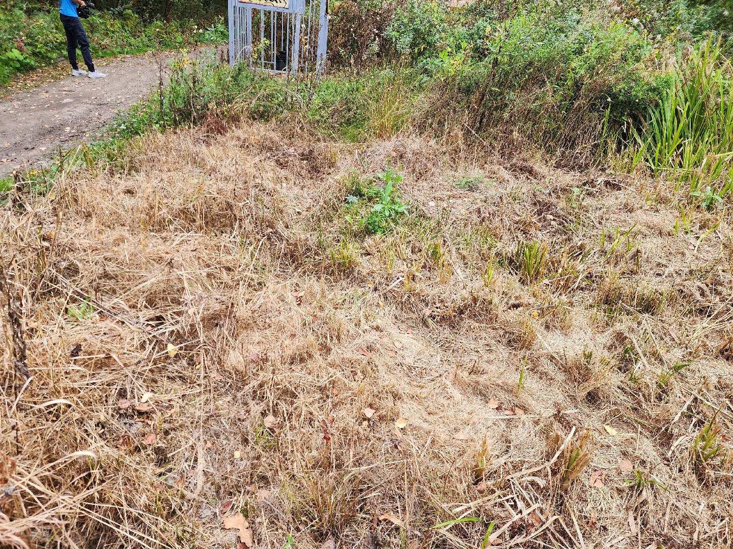 электроугли, власть, благоустройство, деревня марьино, тропа здоровья, жители, общество, оперативный объезд,