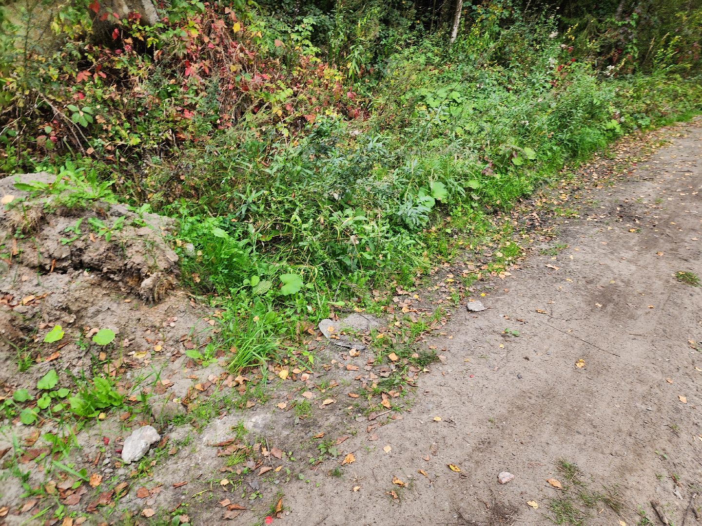 электроугли, власть, благоустройство, деревня марьино, тропа здоровья, жители, общество, оперативный объезд,