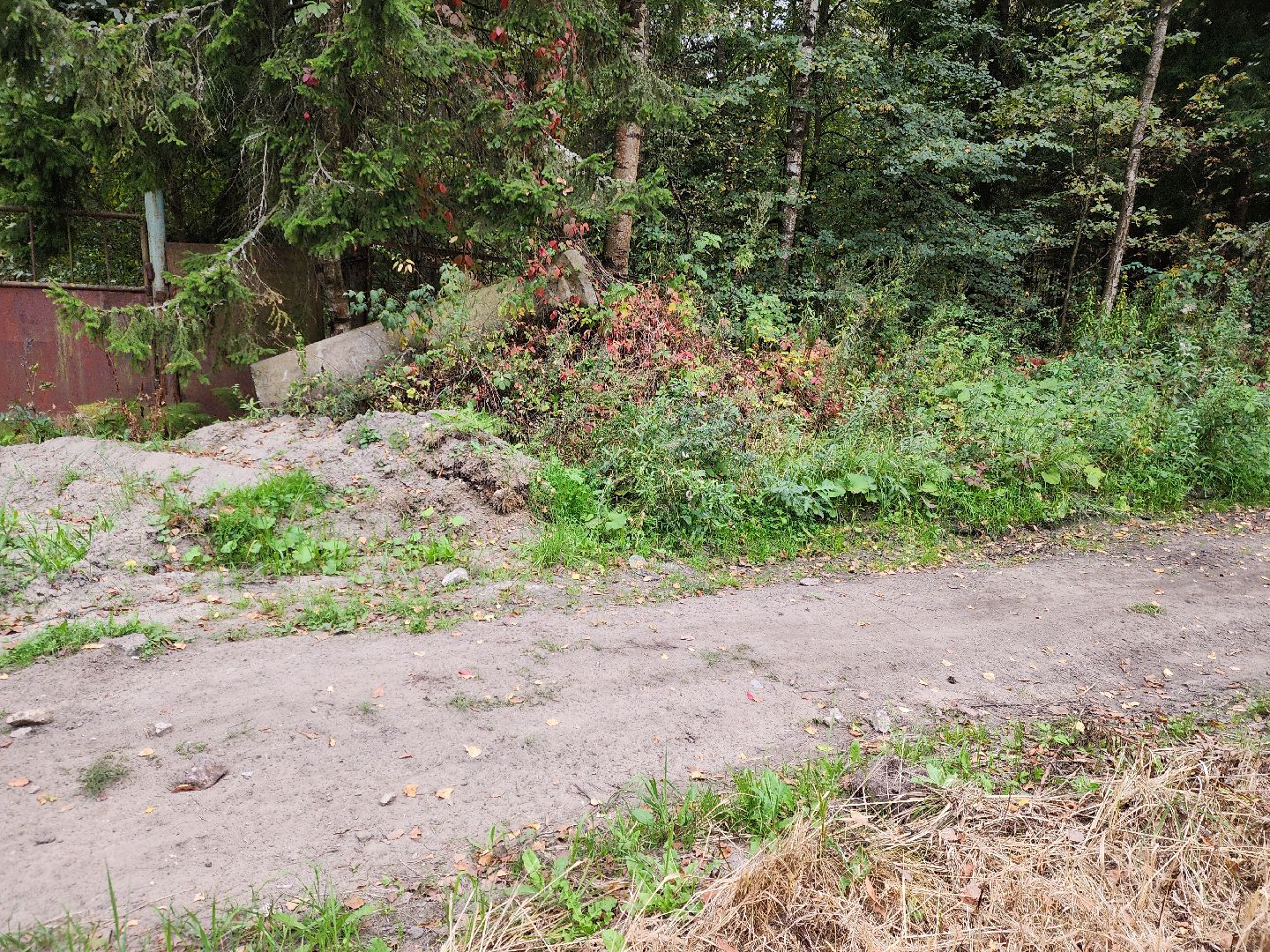 электроугли, власть, благоустройство, деревня марьино, тропа здоровья, жители, общество, оперативный объезд,