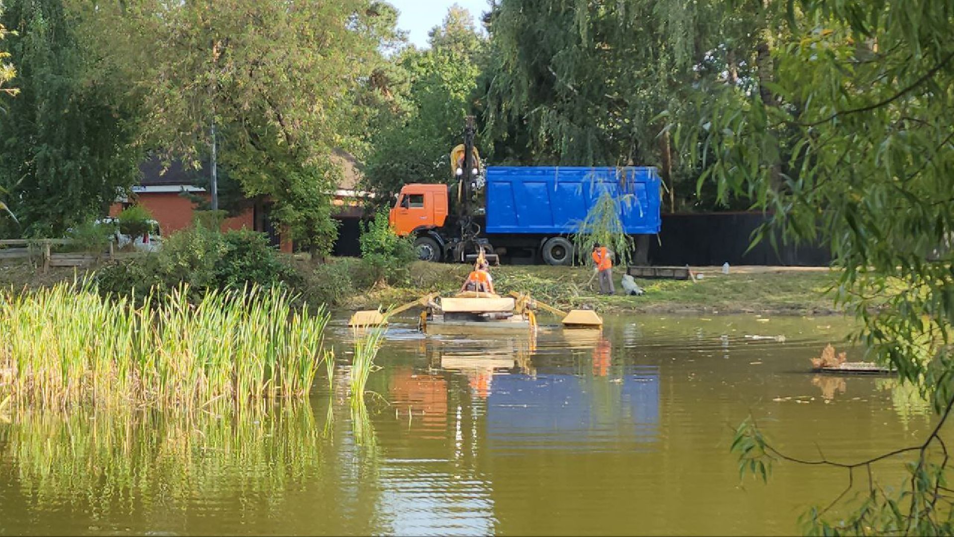 люберцы, Томилино, расчистка пруда, жители, уборка мусора,охрана окружающей среды,