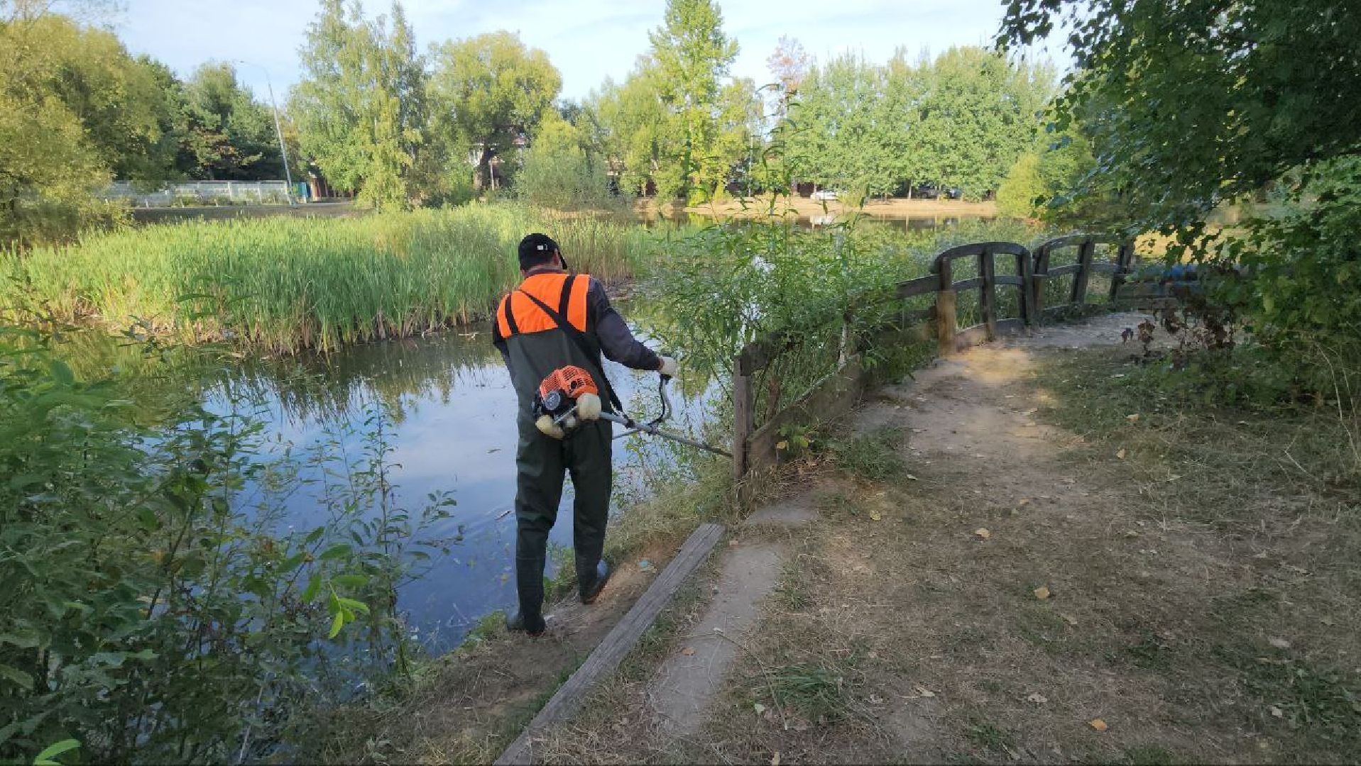 люберцы, Томилино, расчистка пруда, жители, уборка мусора,охрана окружающей среды,
