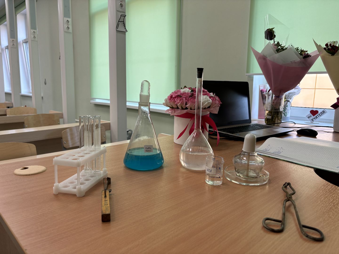 образование, учитель химии, школа 8, кучино,