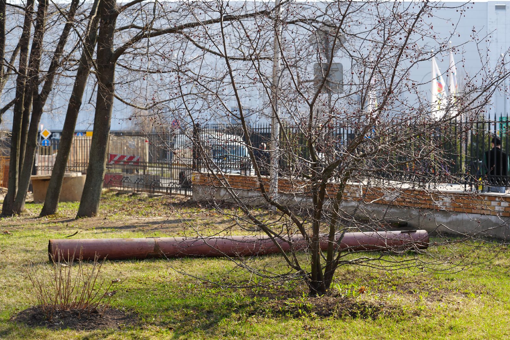 благоустройство, реставрация, Белая Дача, парк, Котельники