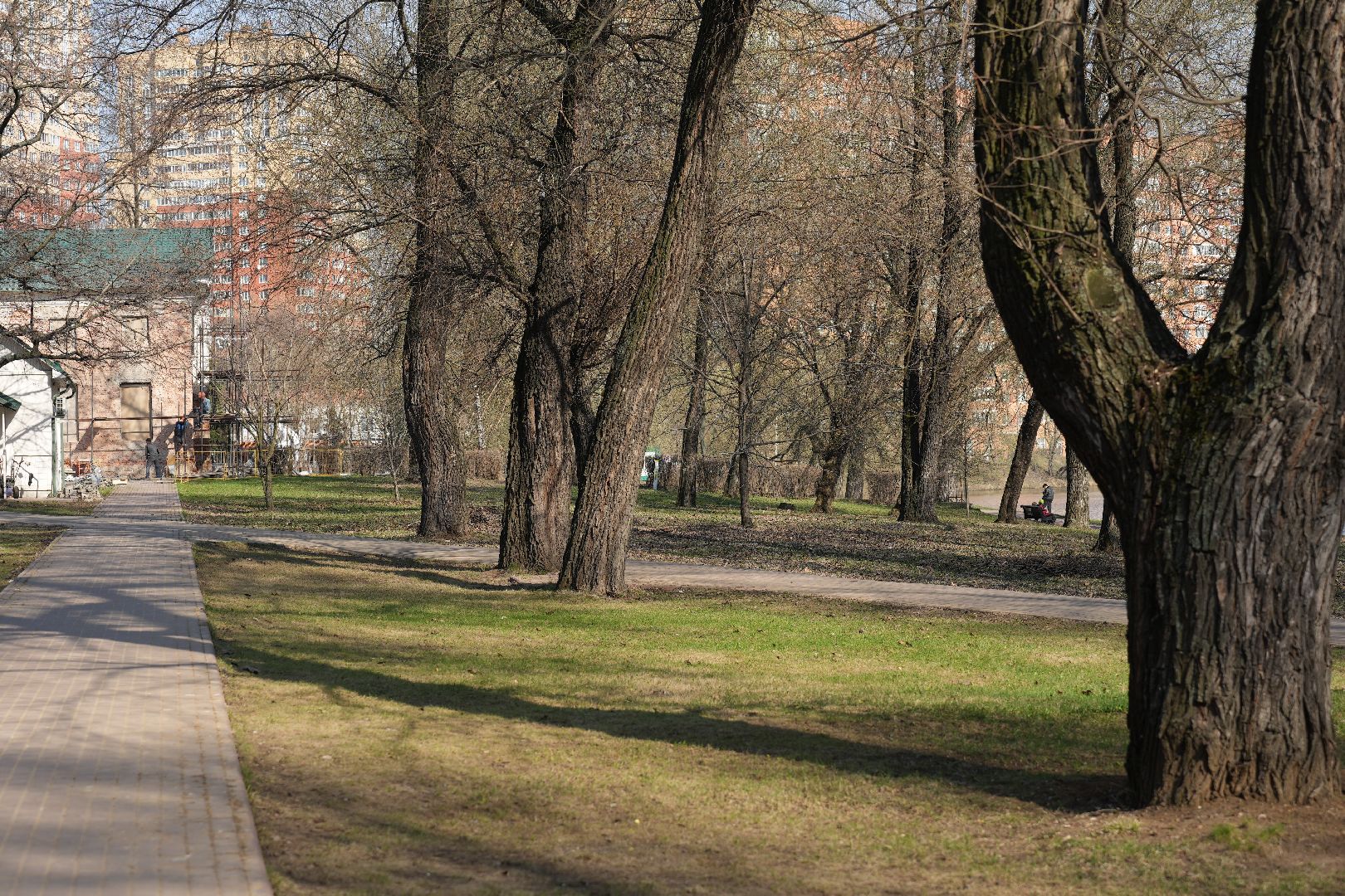 благоустройство, реставрация, Белая Дача, парк, Котельники