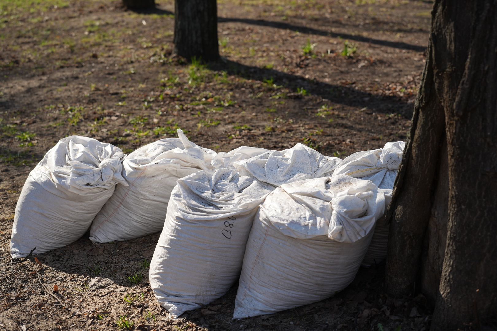 благоустройство, реставрация, Белая Дача, парк, Котельники