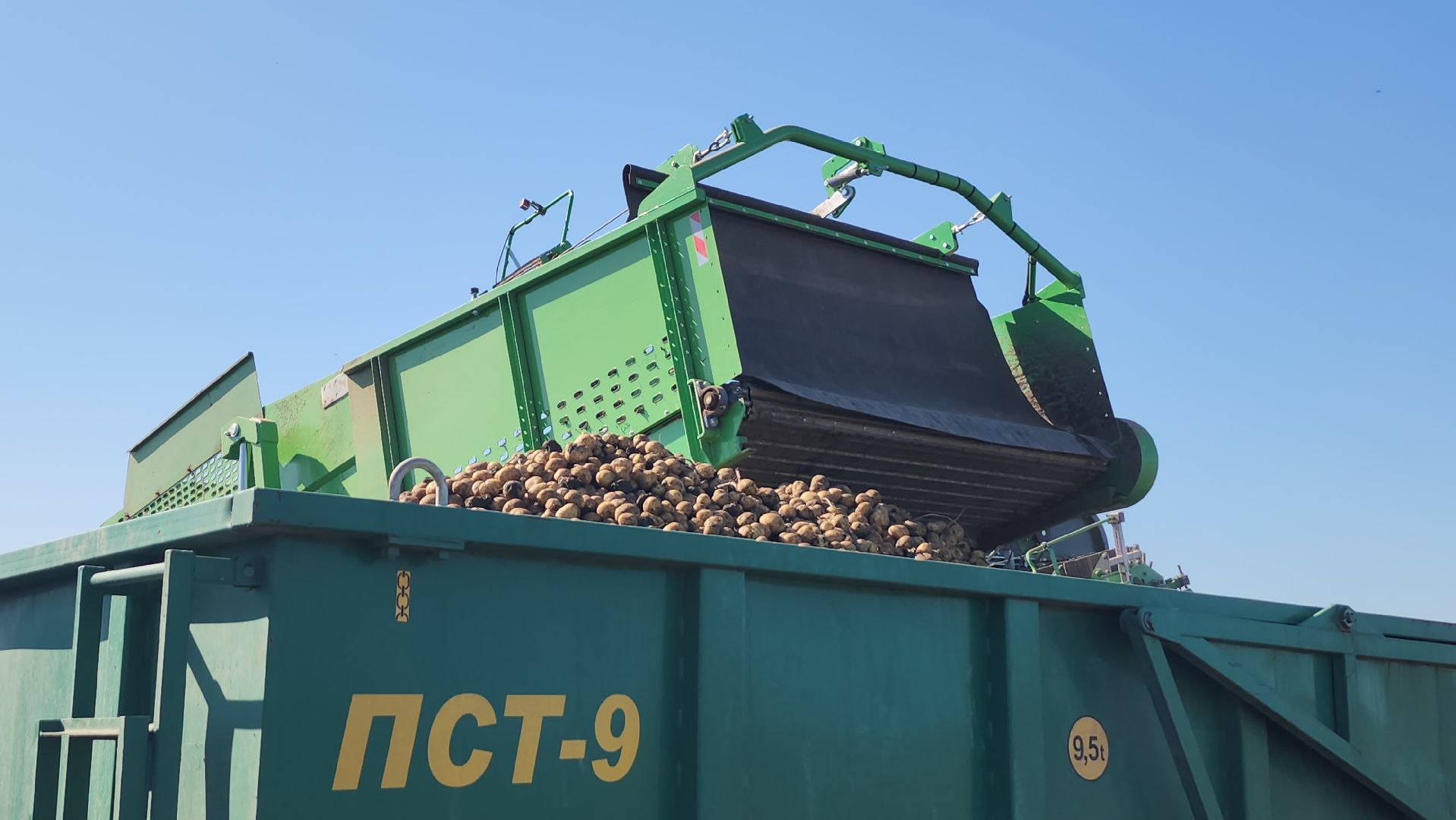 серпухов, ао дашковка, сельское хозяйство, уборочная 2024, картофель,