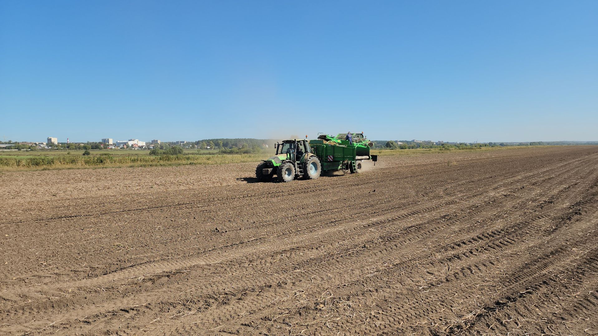 серпухов, ао дашковка, сельское хозяйство, уборочная 2024, картофель,