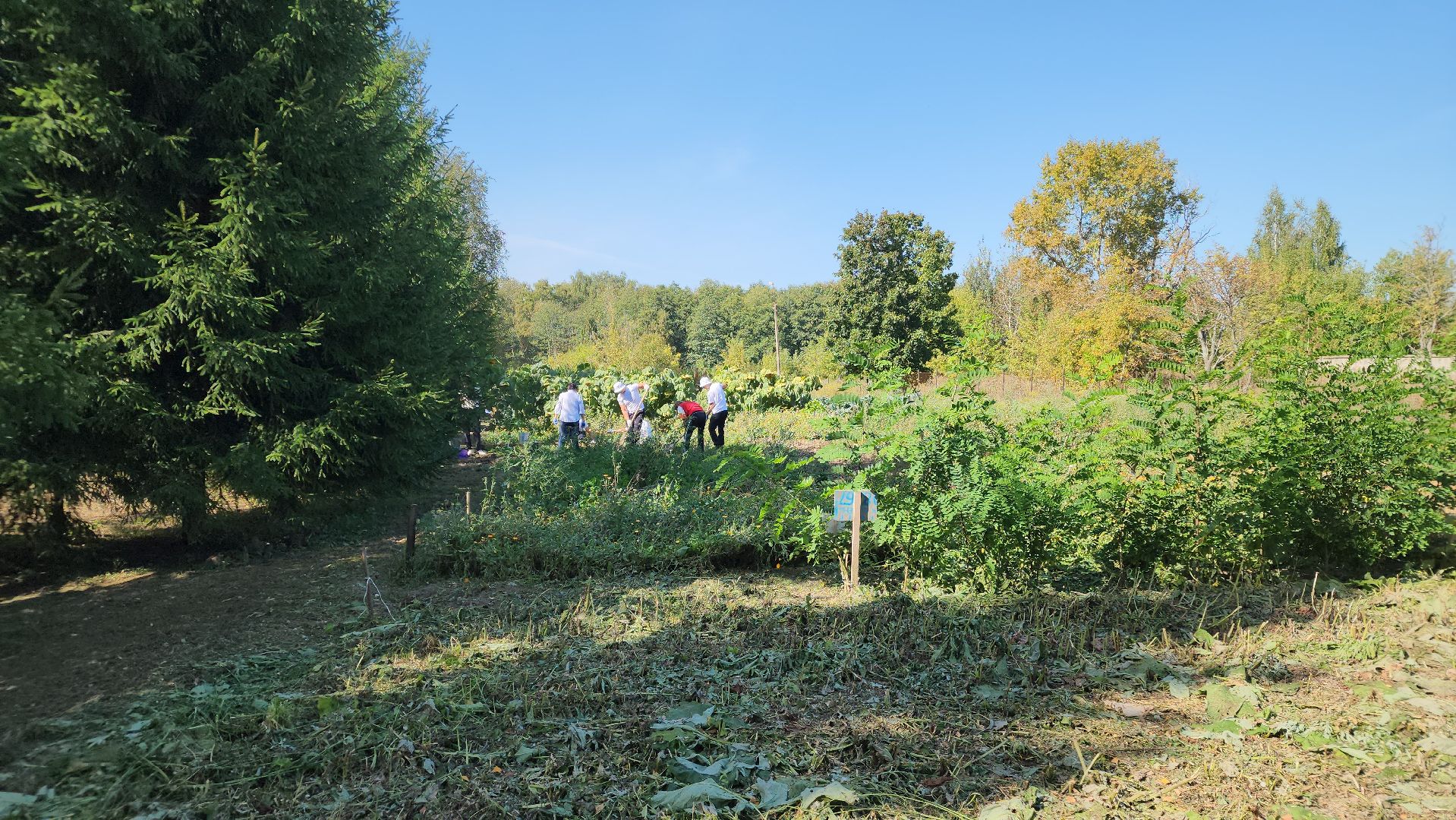 образование в подмосковье, агроклассы, ступино,