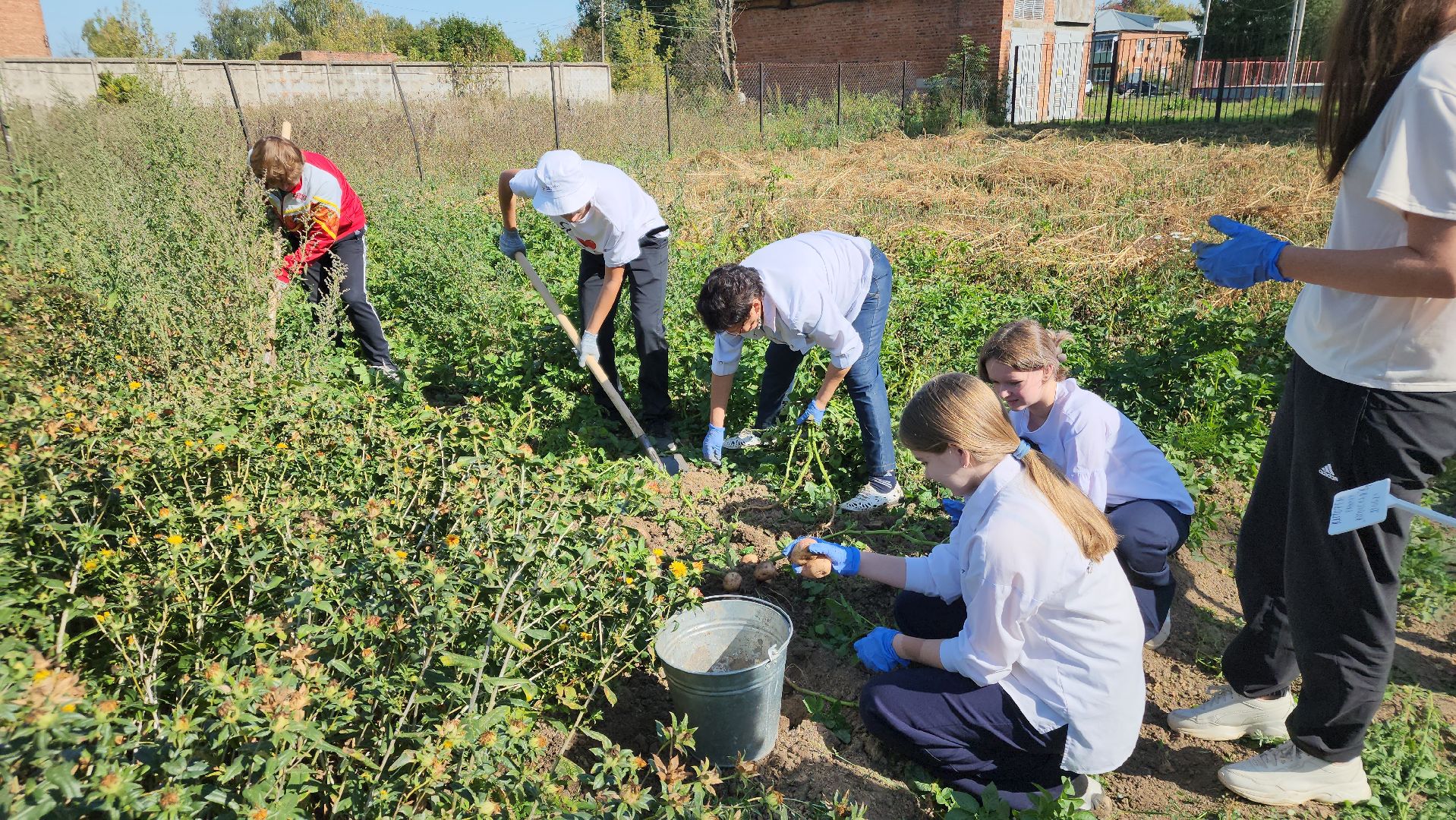 образование в подмосковье, агроклассы, ступино,