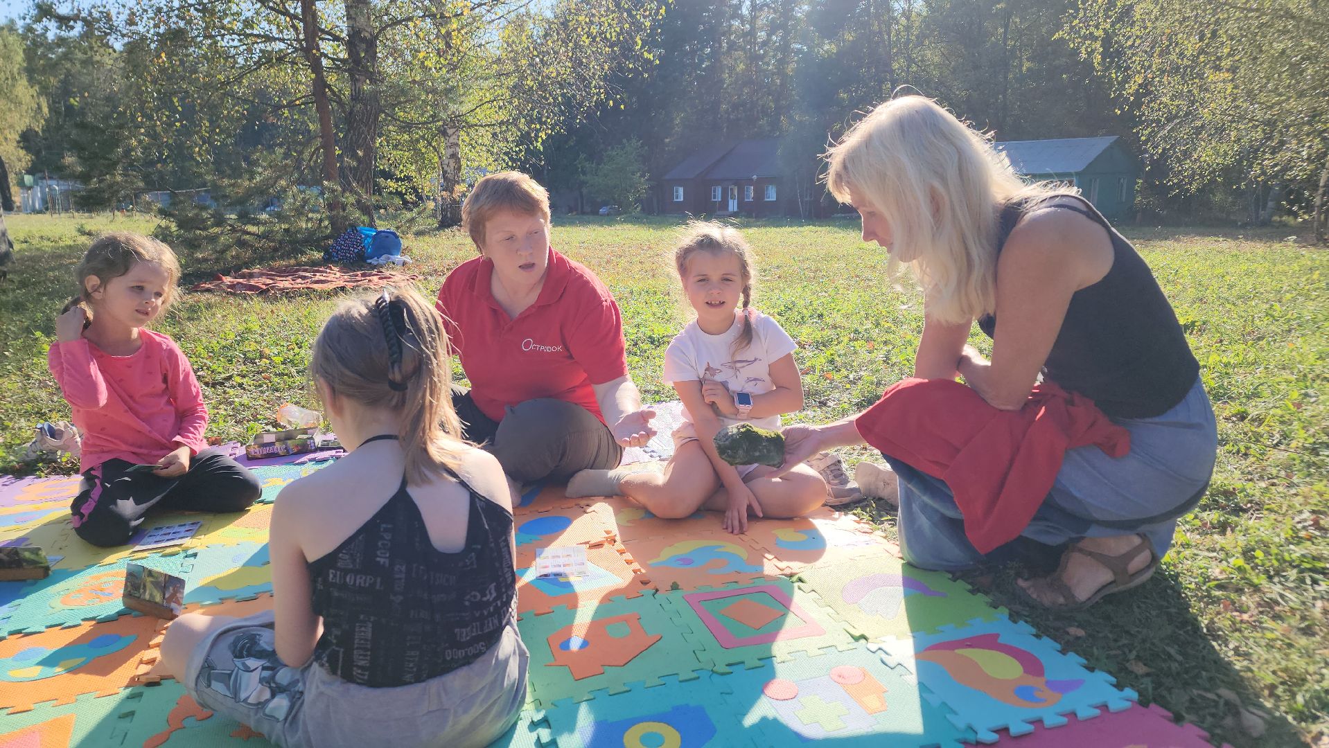 ступино, образование в подмосковье, островок ступино,