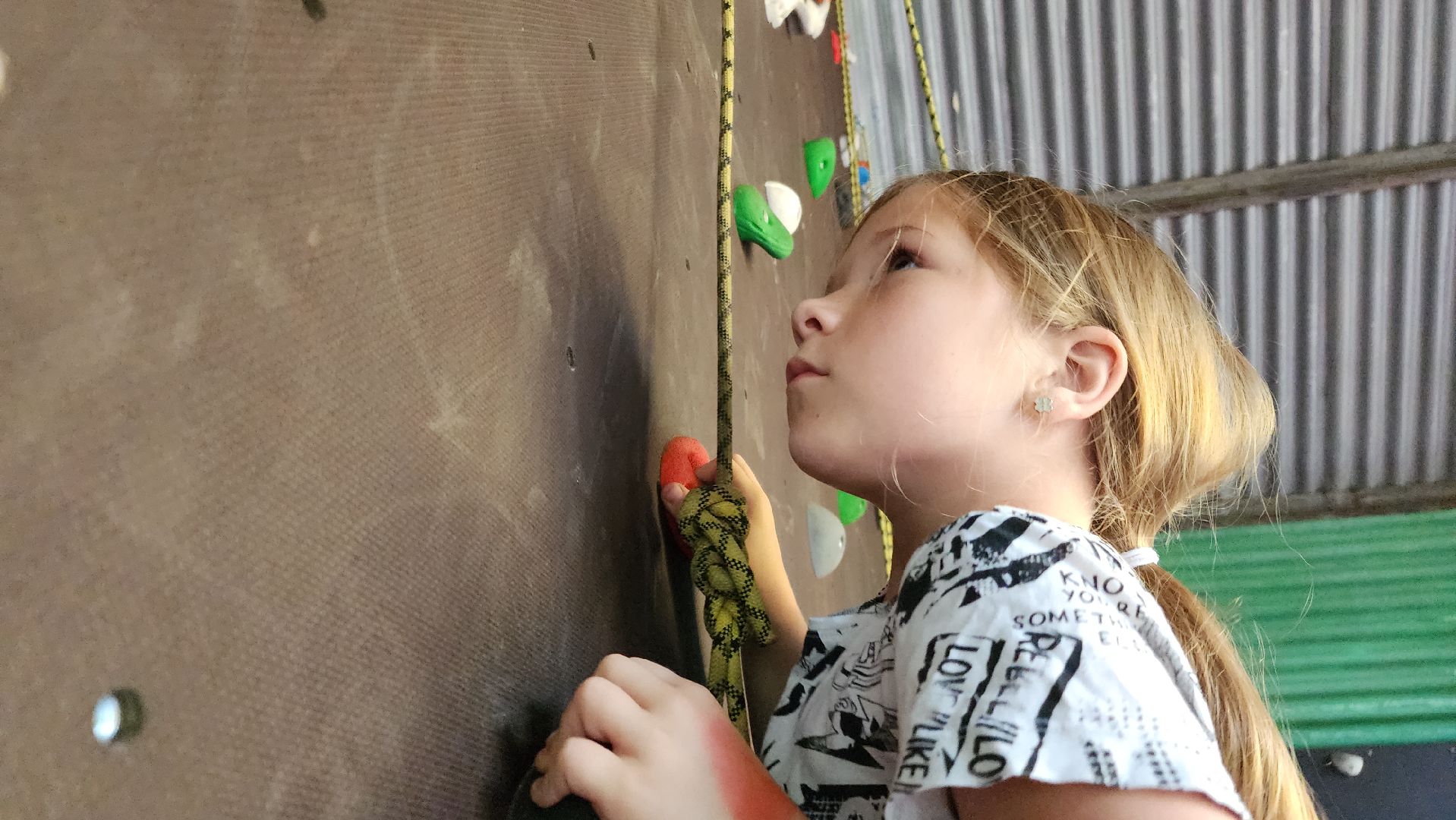 ступино, образование в подмосковье, островок ступино,