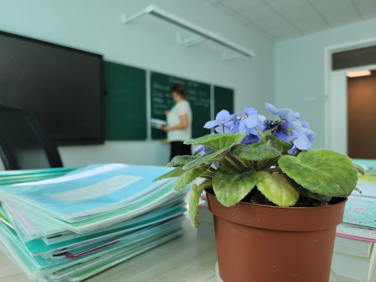 образование в подмосковье, руза, тучково, школа, педагогическая династия, Учитель, рузский городской округ,