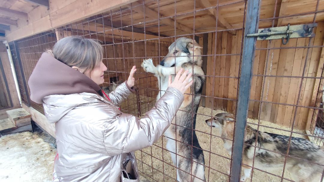 Кашира, общество